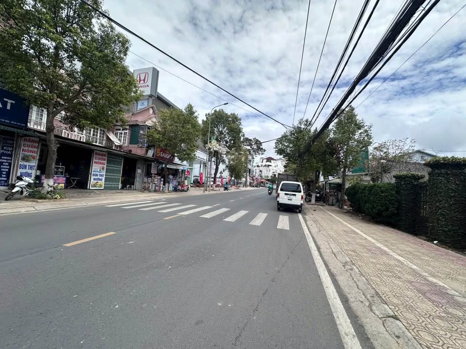 HẠ GIÁ GẤP BÁN NHÀ ĐẤT RỘNG ĐƯỜNG NGUYỄN DU, P9, ĐÀ LẠT 1000m2 - Ảnh chính